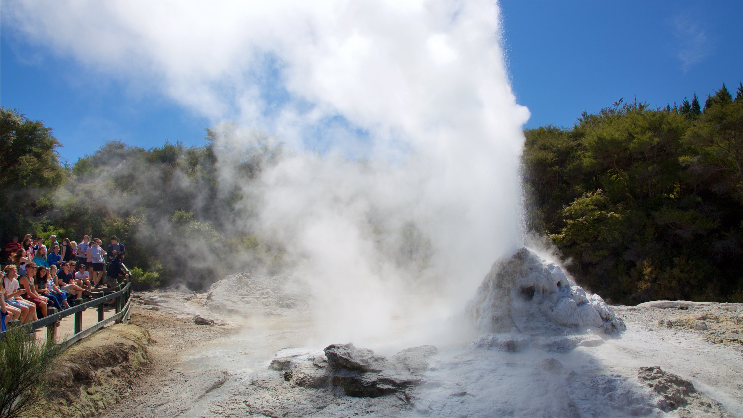 Rotorua Nz Vacation Rentals Chalet Rentals More Vrbo