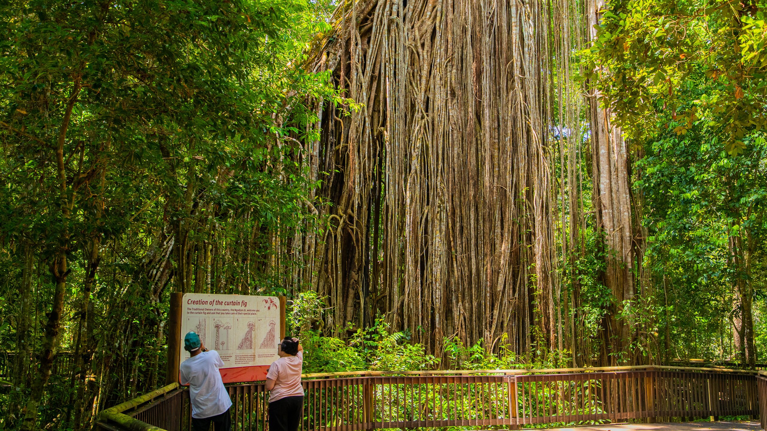 Visit Atherton Tablelands Best Of Atherton Tablelands Queensland