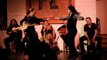 Spectacle de flamenco au Tablao de Carmen avec option dîner