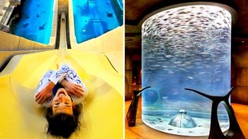 Aquaventure Waterpark & The Lost Chambers Aquarium Combo Saver