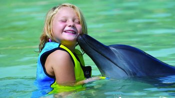 Rencontre avec les dauphins à Dubaï et billets pour Aquaventure Waterpark