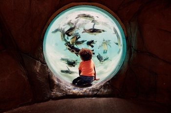 ZSL London Zoo Tickets