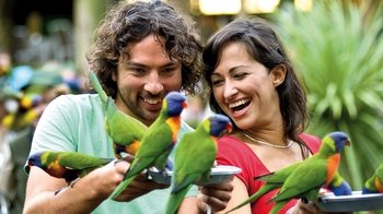 Currumbin Wildlife Sanctuary Tickets