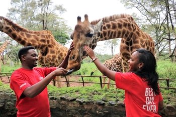 Small-Group Giraffes & Elephants in Nairobi Tour