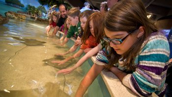 New England Aquarium with Optional Ticket for IMAX® Theater