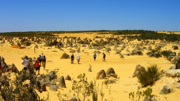 Pinnacles Desert Day Tour with 4x4 Adventure from Perth