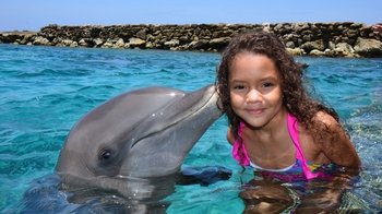 Dolphin Encounter & Sea Aquarium Park