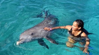 Dolphin Swim & Sea Aquarium Park