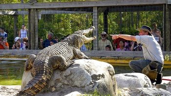 Gatorland Admission