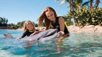 Pacchetti Resort per Discovery Cove®