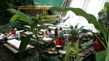 Villa Escudero with Lunch at the Waterfalls