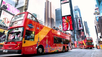 New York Sights Day Tour & Optional Top Of The Rock Ticket