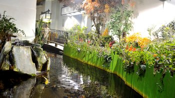 Audubon Butterfly Garden & Insectarium Tickets