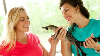 Swamp & Bayou Tour