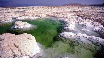 Salir de la ciudad,Excursiones de un día,Excursión a Masada,Excursión a Mar Muerto,Tour por Jerusalem