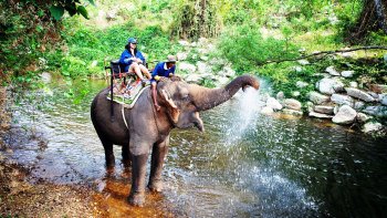 Khao Yai National Park Full Day Tour