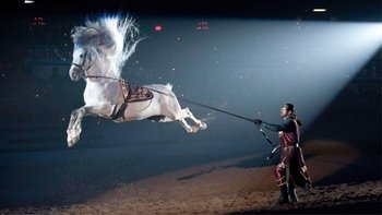 Cena e torneo a Medieval Times