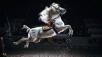 Medieval Times Dinner & Tournament