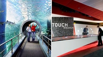 ,Eureka Skydeck 88