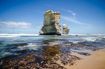 Small Group Great Ocean Road & Great Otway Park Day Tour