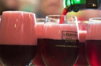 ,Tour de la cerveza,+ Aperitivo