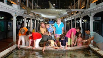 ,Acuario Key West