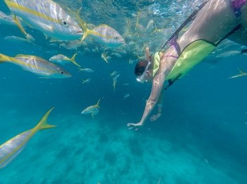Snorkel Sail Excursion