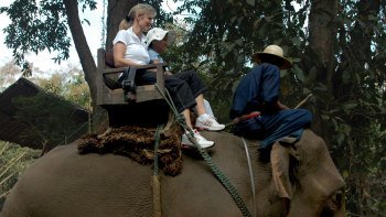 Elephant Trekking & Padong Long-Necked Village