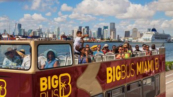 Hop-On Hop-Off Bus Tour