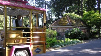 Hop-On Hop-Off Bus Tour