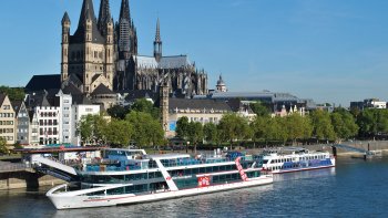 Panoramic Sightseeing Cruise on the Rhine River