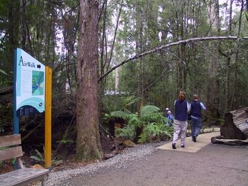 Huon Valley with Tahune Forest Airwalk Tour from Hobart