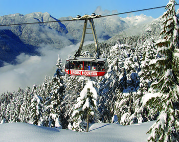 Grouse Mountain Experience