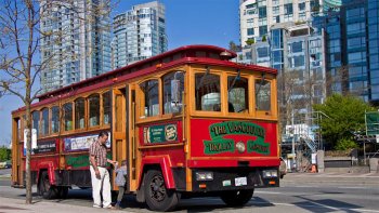 City Trolley 2-Day Pass & Observation Deck