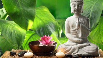 Private Introduction to Buddhism