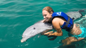 ,Nadar con delfines