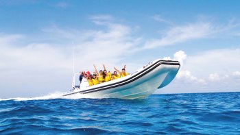 Guided Sea Safari & Horseback Ride