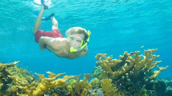 Sharks, Shipwrecks, and Snorkeling Excursion