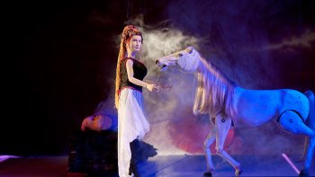 Biglietto per lo spettacolo al teatro delle marionette