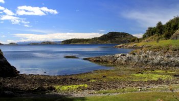 ,Excursión a Parque Nacional de Tierra del Fuego