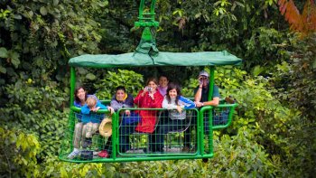 Tram aérien Rainforest Aerial Tram Caribbean