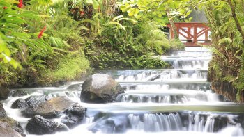 ,Parque Nacional Volcán Arenal