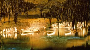 Caves of Drach Full-Day Tour