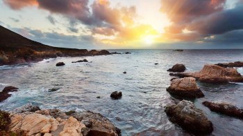Monterey & Carmel-by-the-Sea Day Tour
