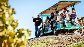 Tour dei vini sostenibili di Napa e Sonoma