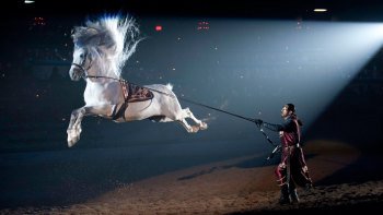 Medieval Times Dinner & Tournament Tickets in Toronto