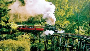 Half-Day Tour & Puffing Billy Steam Train Ride