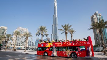 Hop-On Hop-Off Bus Tour