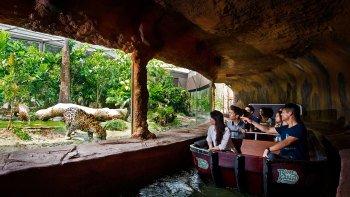 River Safari Ticket with Transfer