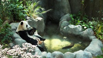 River Safari & Night Safari Tour with Transfer